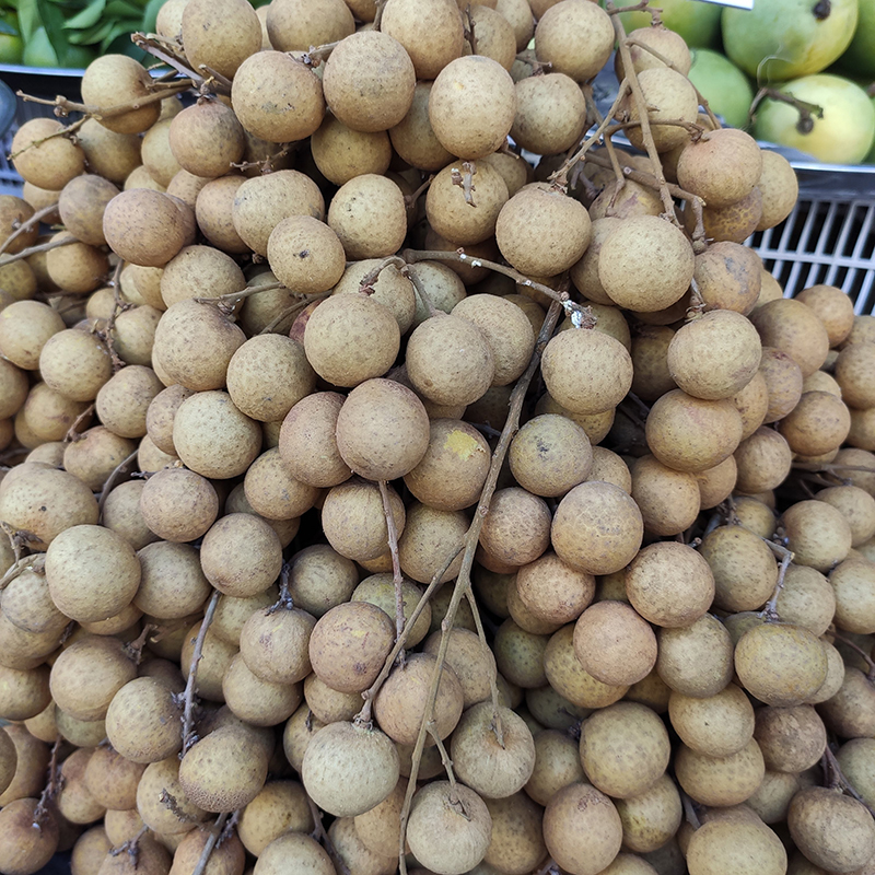 Nhãn Bắc hạt tiêu